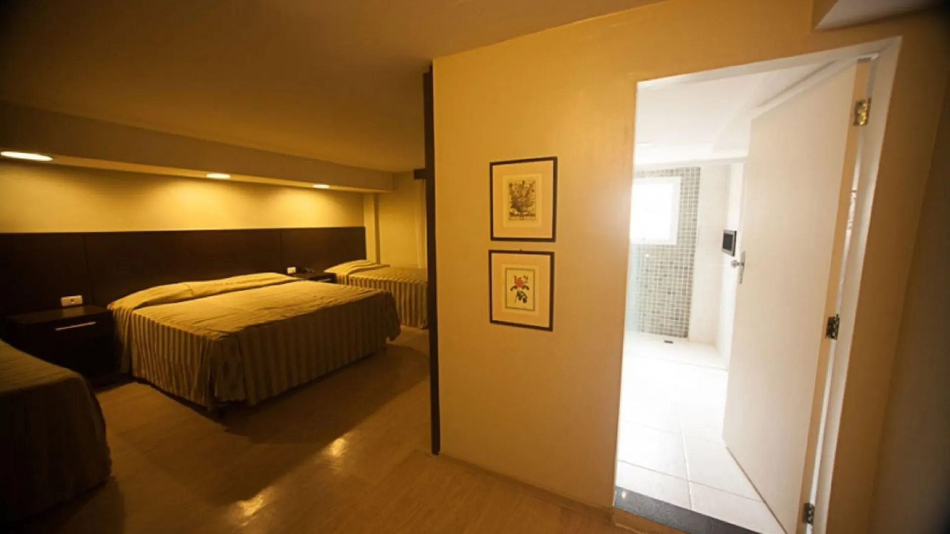 Hotel Plaza Apolo São Paulo